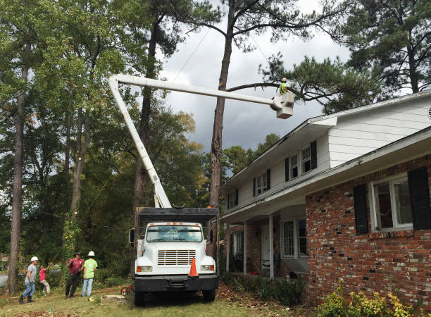 Soil Testing and Treatment in Lawrenceville, GA